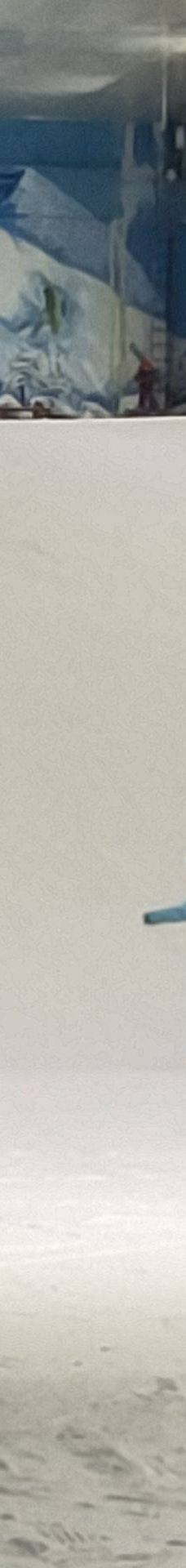 石林冰雪海洋世界-石林