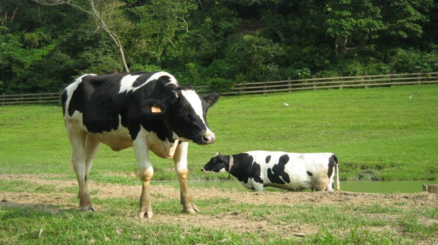台湾西部6日5晚跟团游·【L签可报名 1天半自