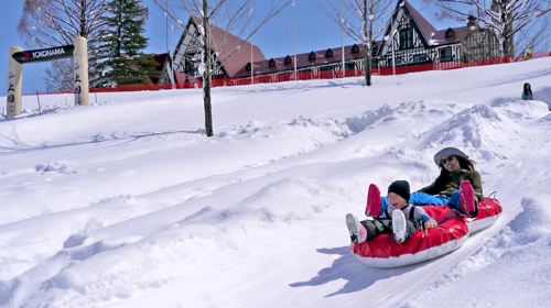 赏雪游·日本东京+富士山+箱根+京都+大阪6日