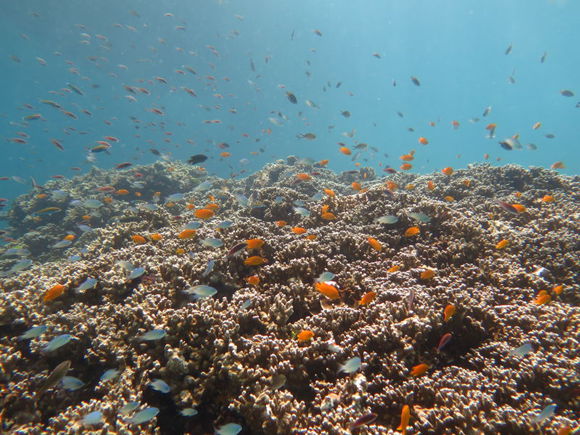 泰国普吉岛+甲米6日4晚跟团游·亲子海岛季 神
