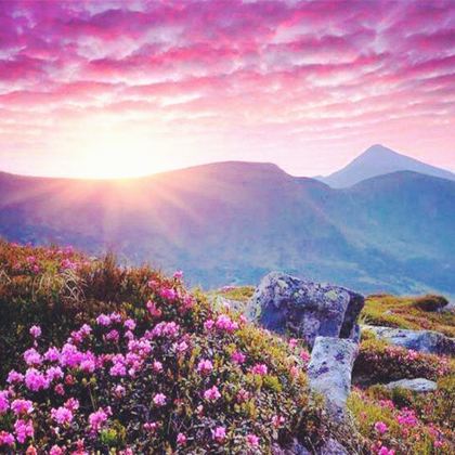 宜昌+神农架+大九湖国家湿地公园5日4晚跟团游