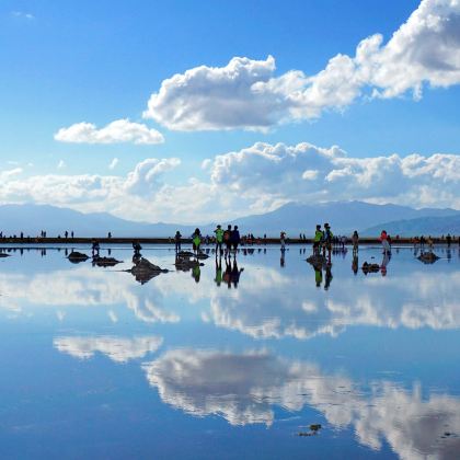 历史人文•西宁丝绸之路10日亲子营丨暑期 · 西行漫记，西北甘青大环线研学营！青海湖、月牙泉、鸣沙山、魔鬼城、莫高窟、嘉峪关、七彩丹霞、门源花海