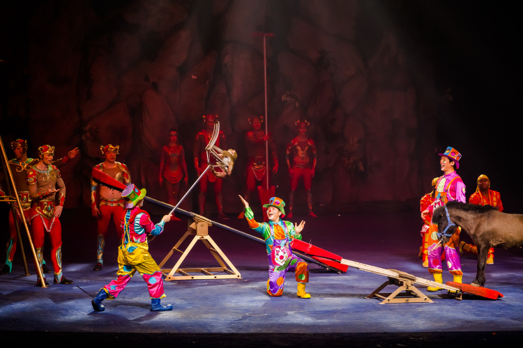 劲爆来袭】大马戏 海洋王国 欢乐世界或动物园二选一.宝贝萌趣