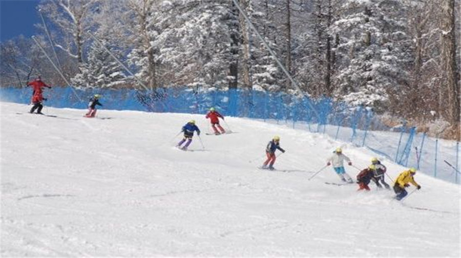 黑龙江雪乡3日2晚跟团游·亚布力、雪乡三天