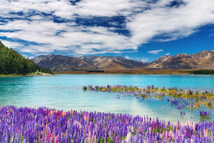 澳大利亚+新西兰12日10晚跟团游·澳新南北岛