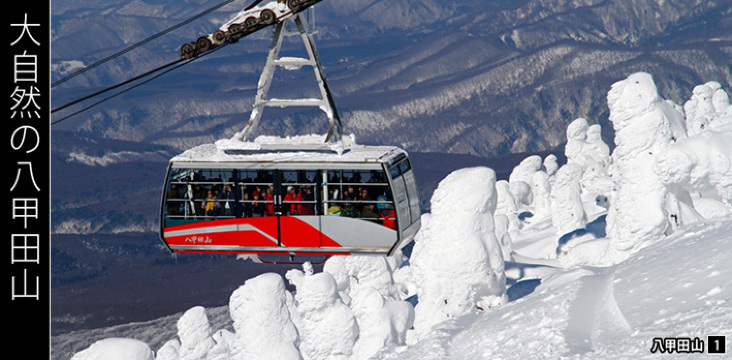 性价比很好,导游、行,日本北海道7日6晚跟团游