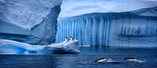 南极+巴西+阿根廷+智利+秘鲁33日29晚跟团游