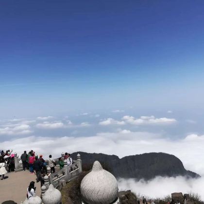 成都+峨眉山+乐山3日2晚跟团游