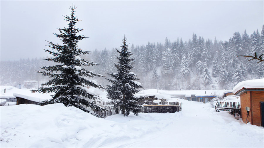 黑龙江雪乡2日1晚跟团游·雪乡现推出优惠产