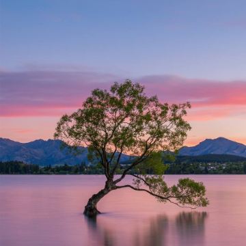 新西兰南岛7日6晚跟团游
