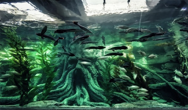 哈尔滨波塞冬鲨鱼酒店   波塞冬沙滩水世界/波塞冬海底世界/波塞冬