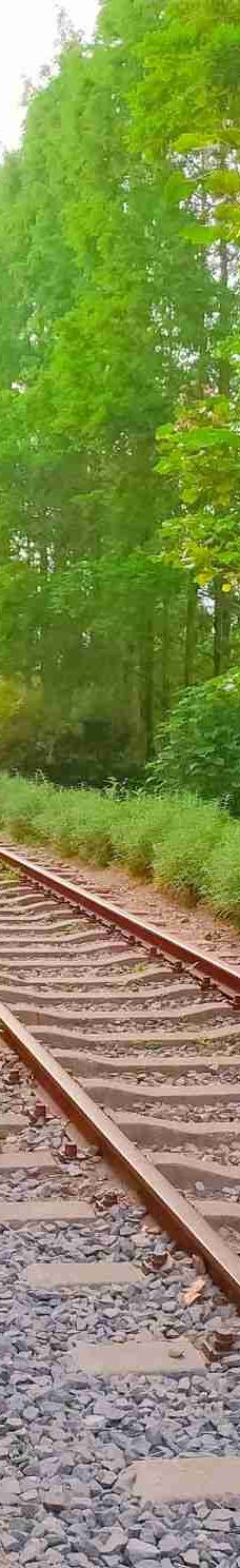 宁波植物园-宁波