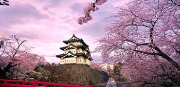 日本大阪府8日7晚半自助·拒签全退·中旅独