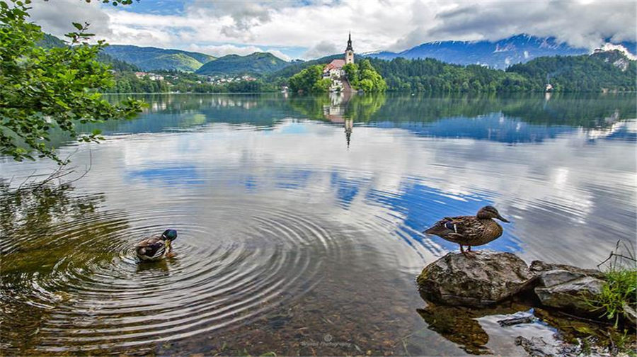 奥地利+匈牙利+捷克+斯洛伐克+斯洛文尼亚+克