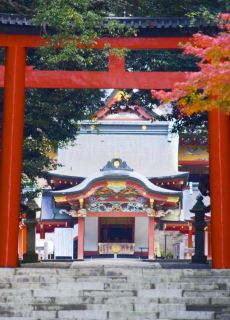 萨摩川内市旅游线路精选 携程旅游