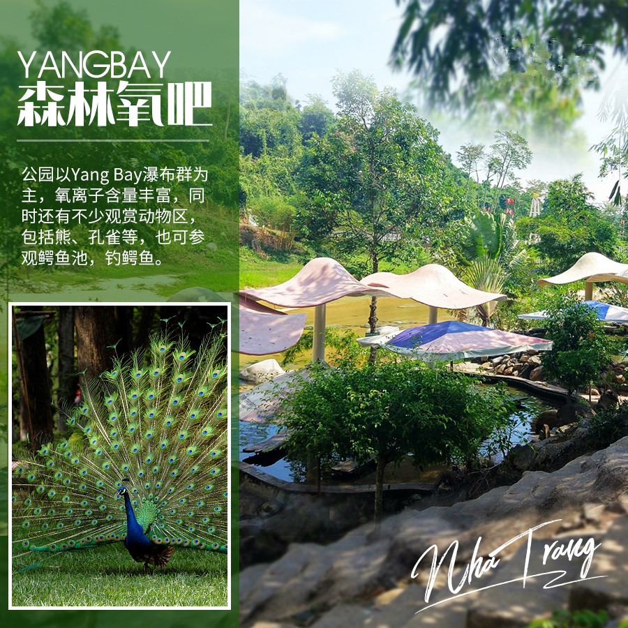 越南+芽庄5日4晚跟团游·特价1400【五一带娃