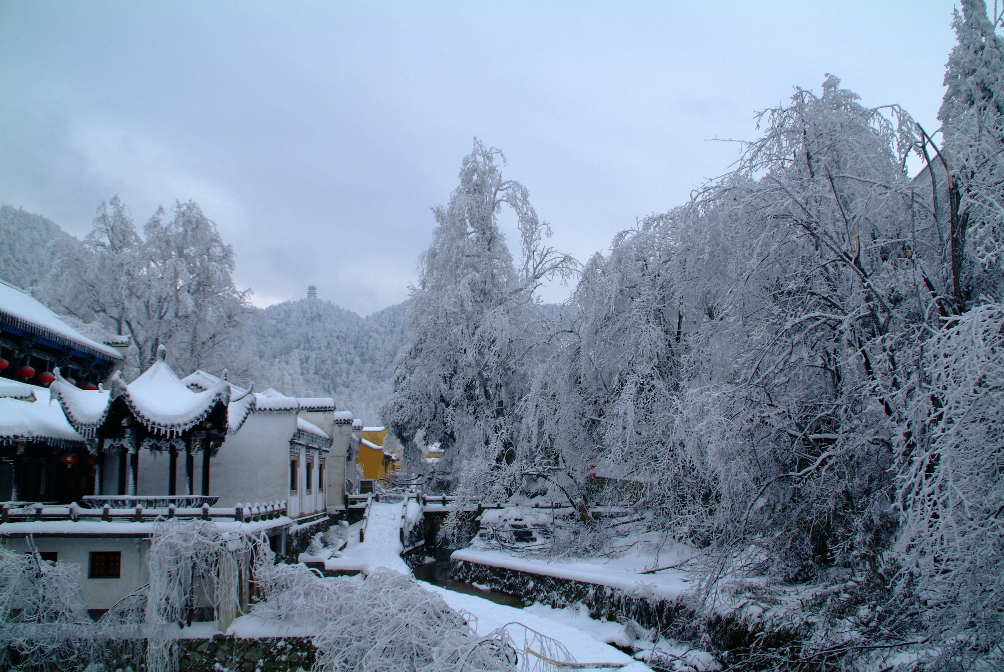 安徽九华山3日跟团游·全方位祈福体验+99米