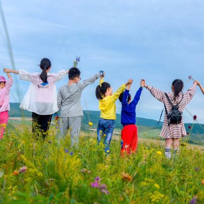 内蒙古呼和浩特+辉腾锡勒草原+乌兰哈达火山地质公园+响沙湾4日3晚私家团