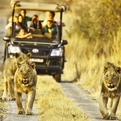 南非10日7晚跟团游