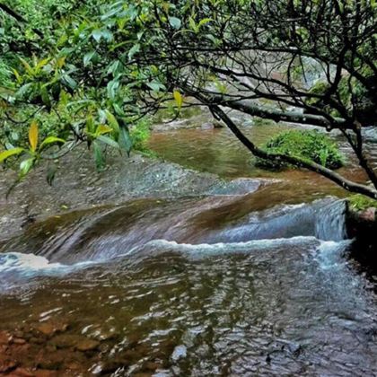 屏南白水洋风景区+福安白云山+九龙漈瀑布3日2晚私家团