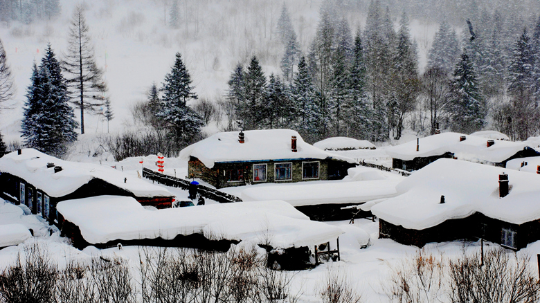 去的爸爸去哪儿的大雪,雪乡2日1晚跟团游·超