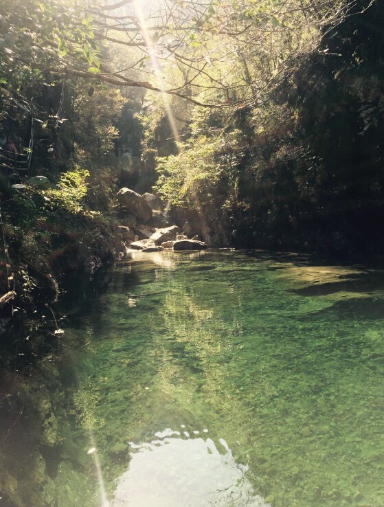 四十多人的团给一个毫,罗田2日1晚跟团游.五星