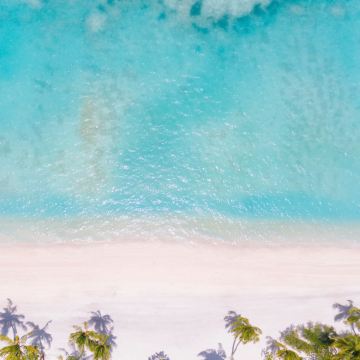 马尔代夫康迪马岛5日4晚自由行