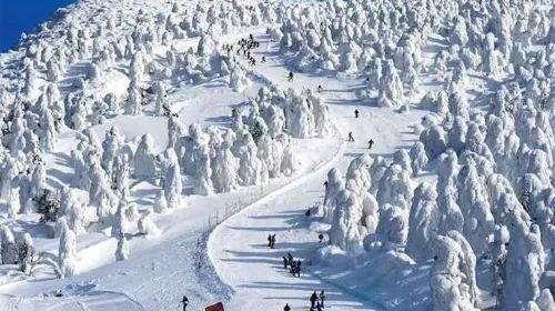日本宫城县仙台5日·【精明玩家轻奢游】藏王