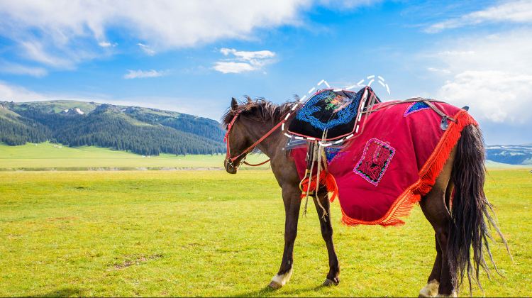 5D4N · Group Tours · Inner Mongolia + Hohhot + Huitengxile Grassland + Whistling Dune Bay + The Mausoleum of Genghis Khan