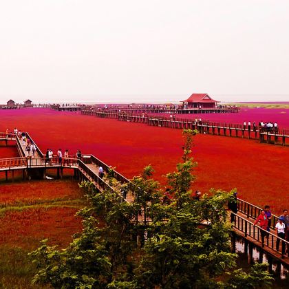 盘锦+锦州+葫芦岛+东戴河+山海关6日5晚私家团