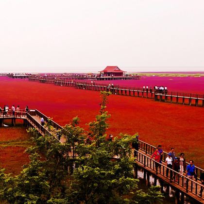 盘锦+锦州+葫芦岛+东戴河+山海关6日5晚私家团