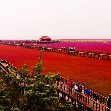 盘锦+丹东3日2晚私家团