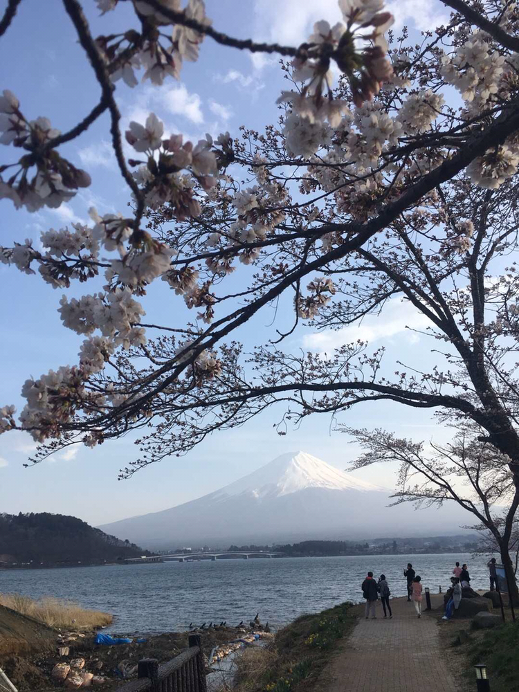 富士山富士山包车一日游-携程包车游,中文司导