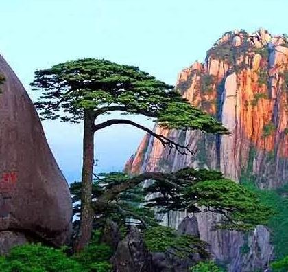 黄山市+九华山风景区4日3晚跟团游