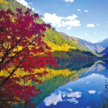 九寨沟扎如林道攻略-扎如林道门票价格多少钱-团购票价预定优惠-景点