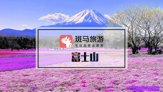 很好,舒适不累,整个,赏花游·日本大阪+京都+箱