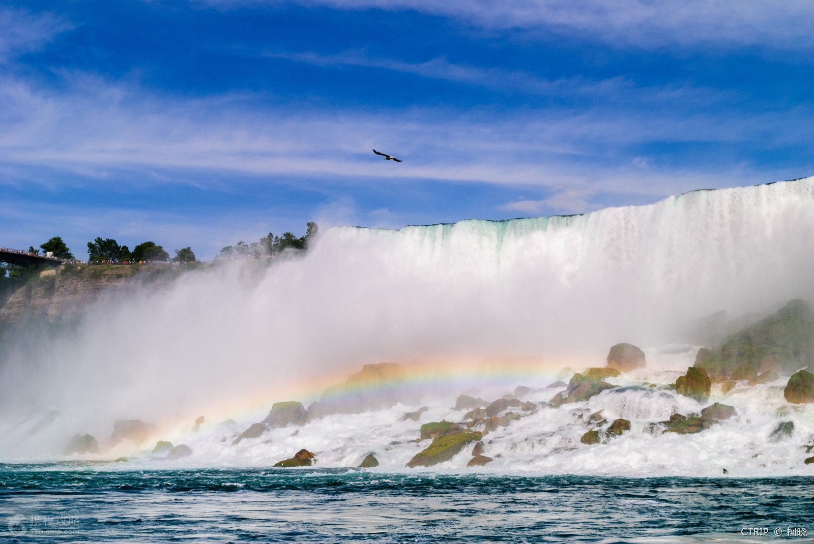 地接导游何永泉,知识,美国东西海岸+旧金山+洛