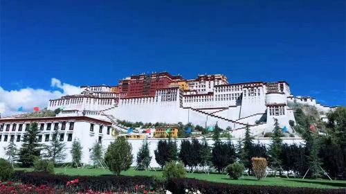 拉萨+林芝+大峡谷+羊卓雍措7日6晚跟团游·【