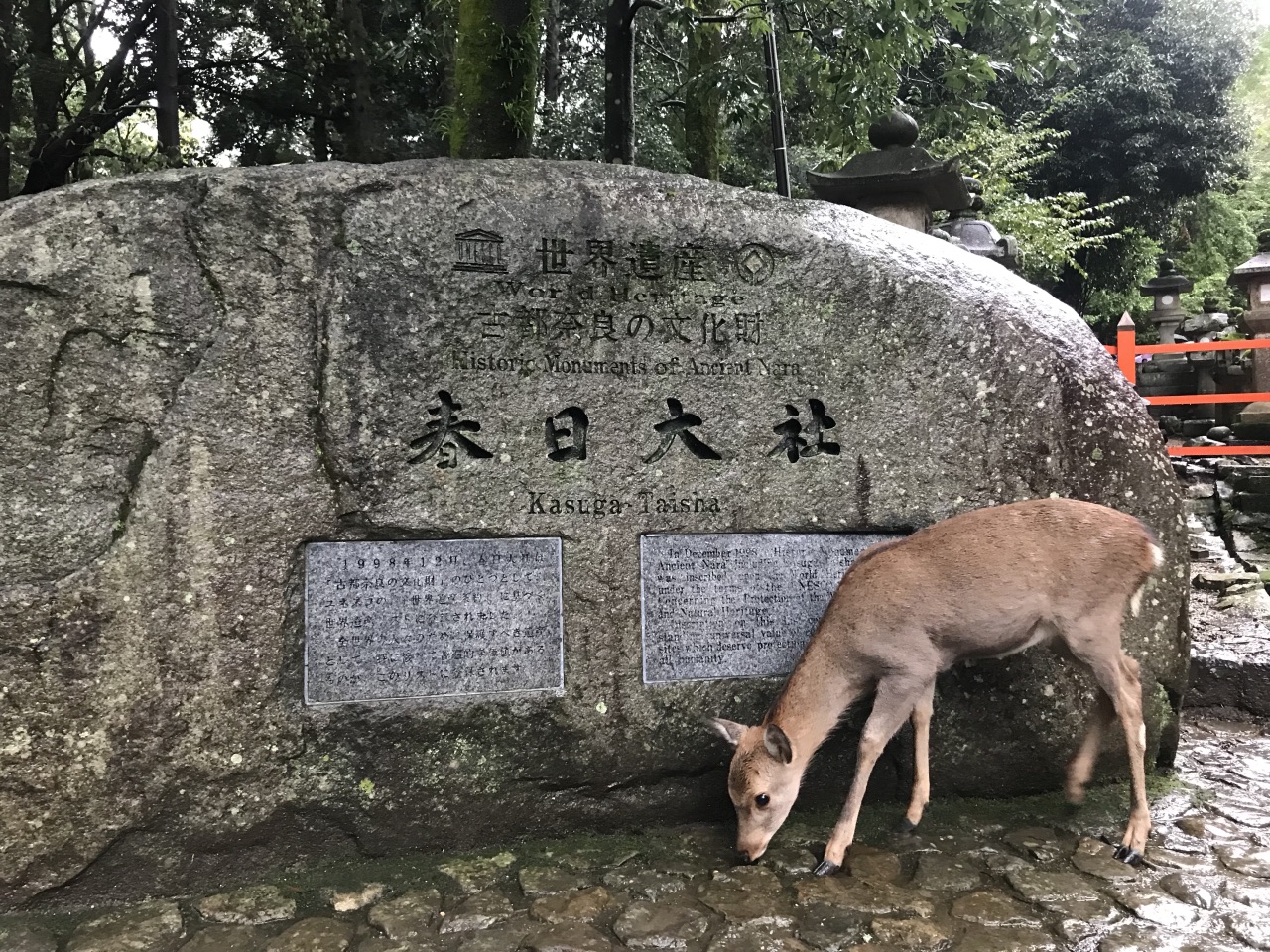镰仓市旅游怎么样,镰仓市旅游好玩吗