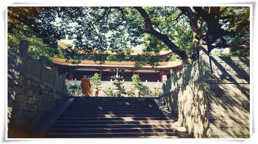 普陀山天竺山庄1-2晚 可自主加购普陀景区门票【山间修禅,感受灵性】