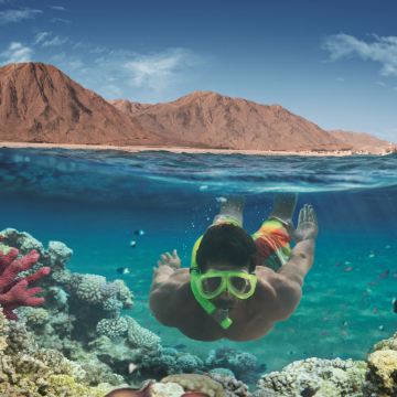 埃及开罗+卢克索+红海Red Sea8日5晚跟团游