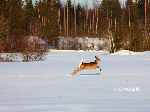 地利+捷克+匈牙利12日10晚跟团游·让我们一