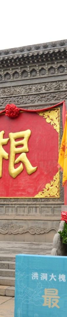 洪洞大槐树寻根祭祖园-洪洞