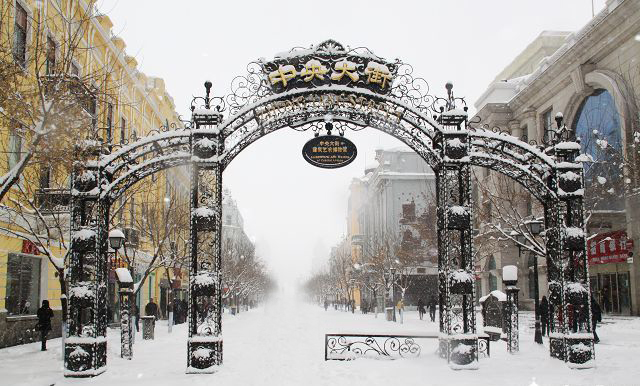 好玩,开心,安全。好,赏雪游·哈尔滨+亚布力+雪