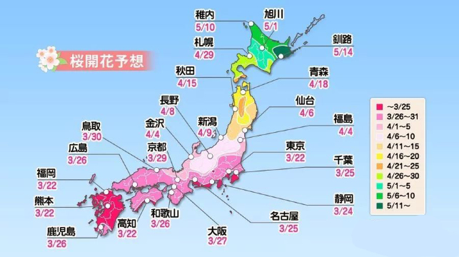 日本名古屋 京都 大阪 奈良 富士山 东京 箱根6日5晚跟团游(3钻)