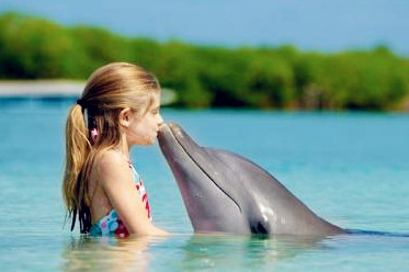 【携程攻略】郑州到奥克兰旅游报价,郑州到奥