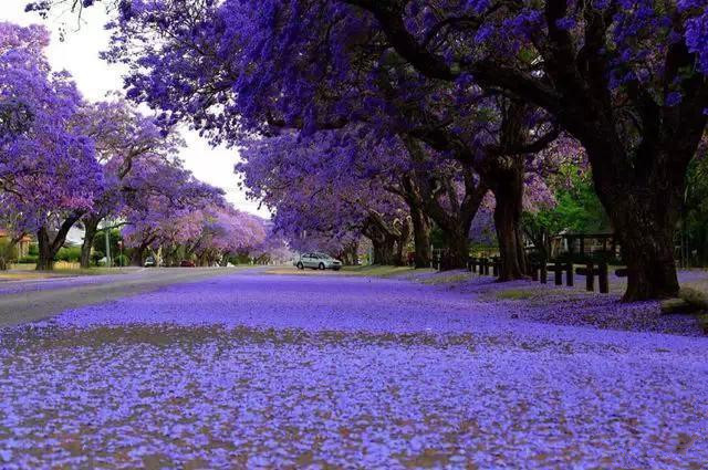 首先到云南航班晚点,,云南昆明+大理+丽江+洱