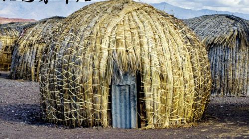 风光列车游酒园 茅草屋 鸵鸟肉餐