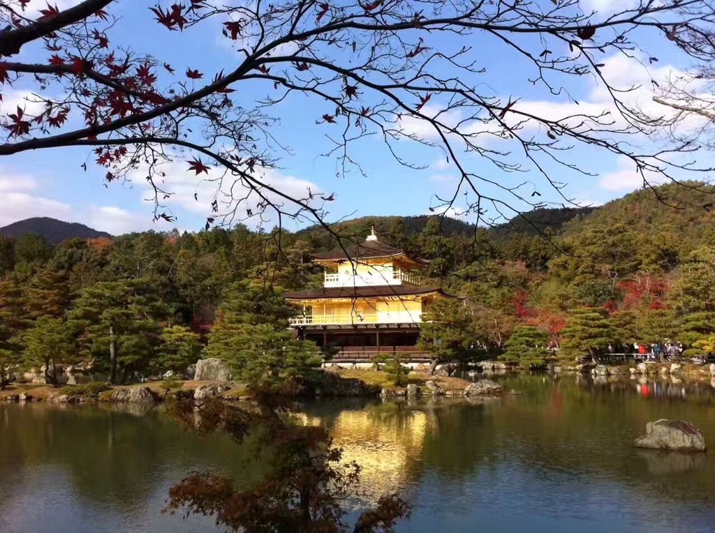 导游很好不强制消费&,赏花游·日本东京+名古