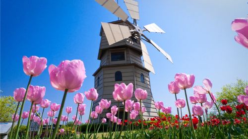 法国+卢森堡 +比利时+荷兰+德国+瑞士9日6晚